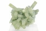 Pristine Goshenite Crystal Cluster - Erongo Mountains, Namibia #351527-1